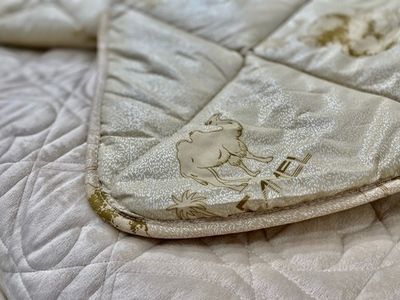 Одеяло "Бест" верблюжья шерсть (52)