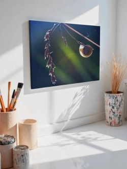 Картина на стену 40 X 50 Улитка