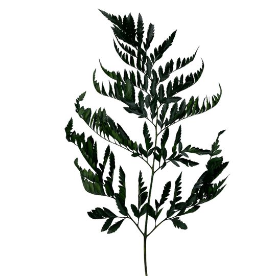 Стабы и мох