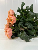 Букет из 19 шт 60см - персикового цвета