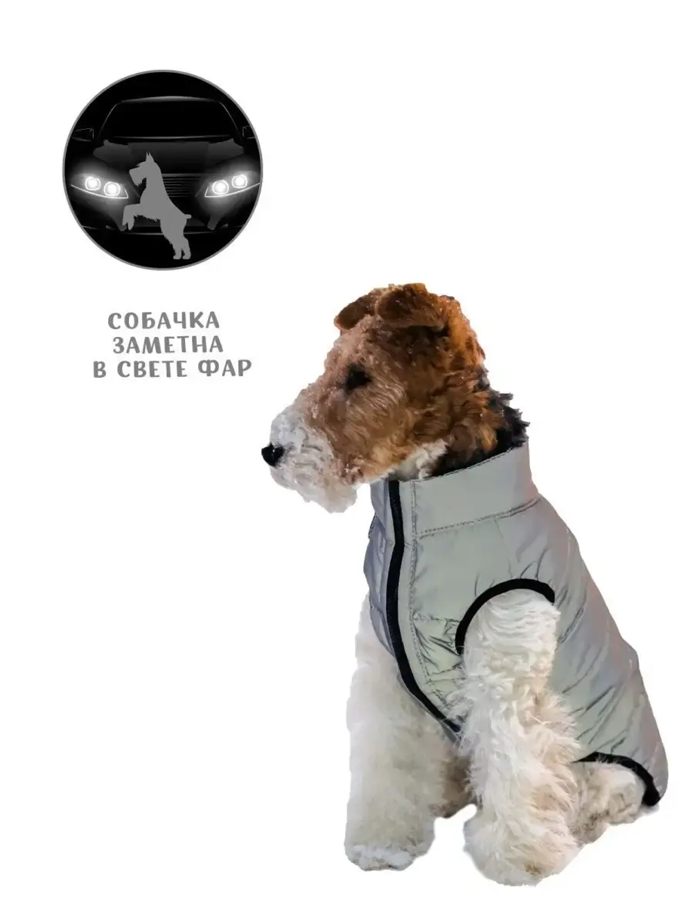 Одежда жилет для собак осень