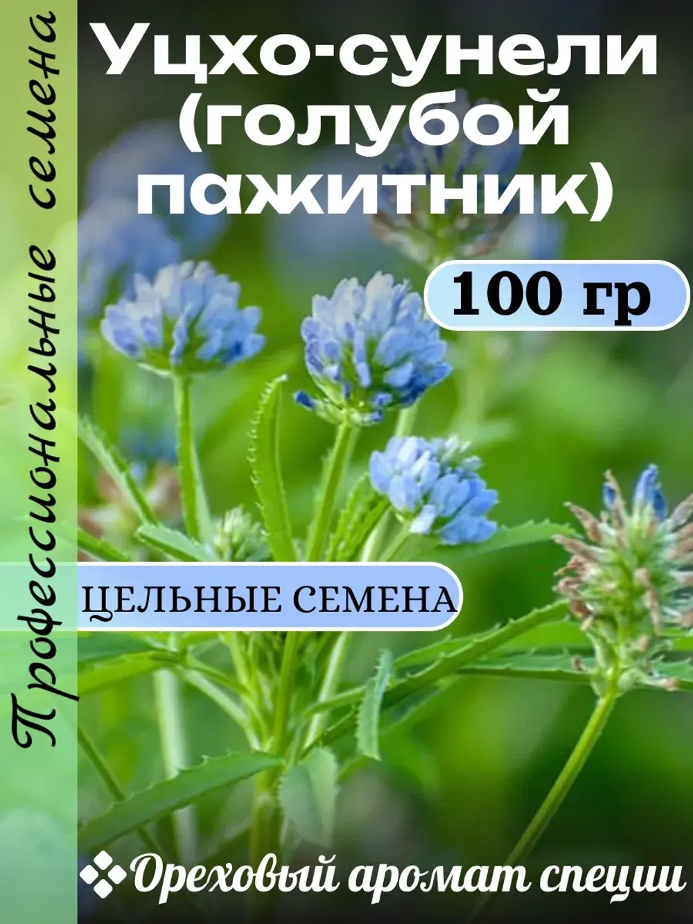 Семена Уцхо-сунели (голубой пажитник) 100 гр
