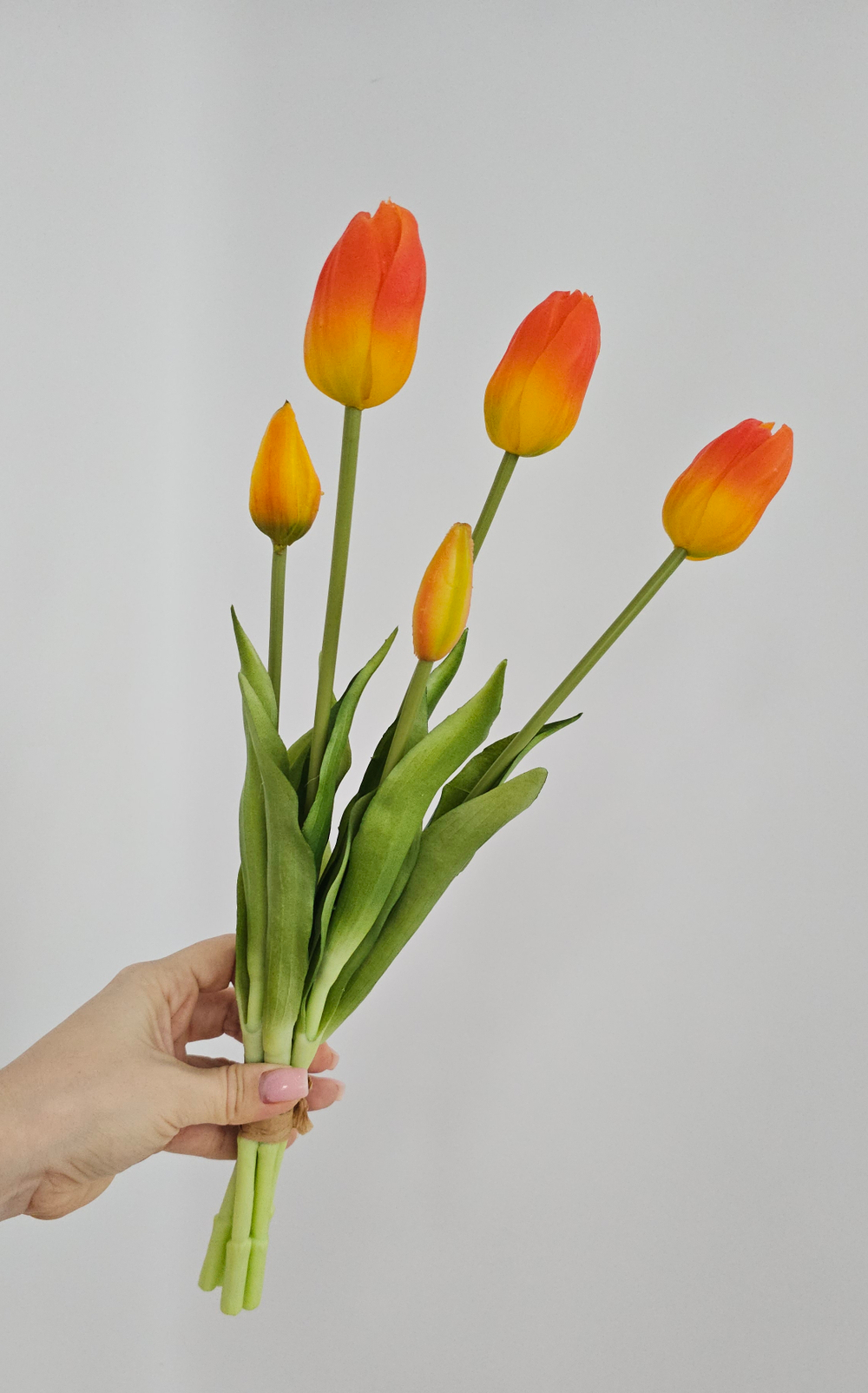 Тюльпаны закрытые / Арт 2454