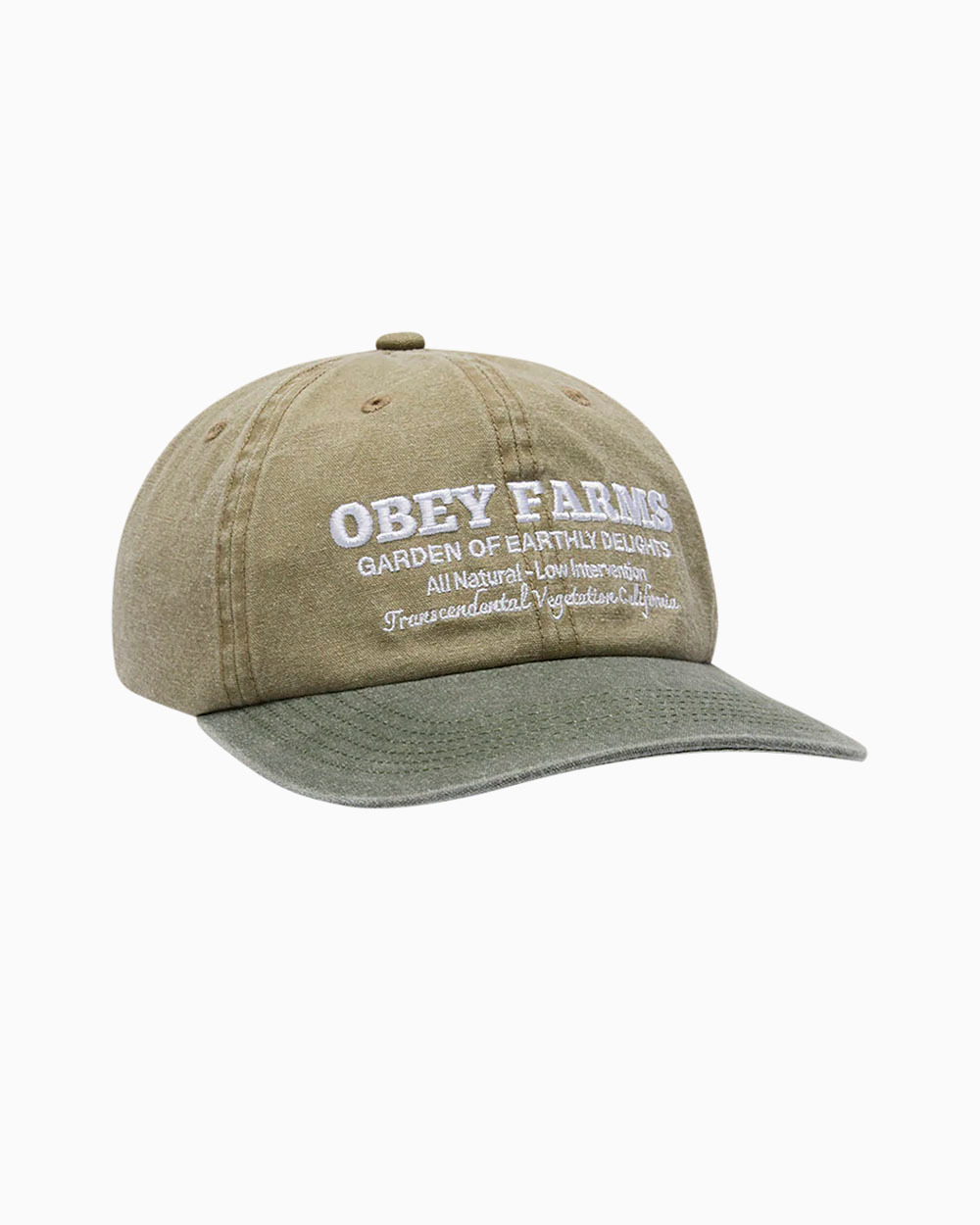 Кепка Obey Pigment Farms 6