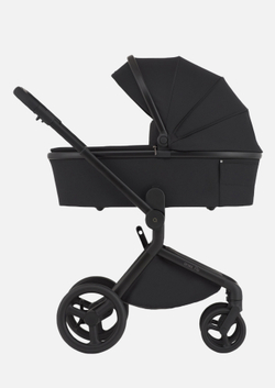 Anex Детская коляска Flo 2 в 1 Lungo