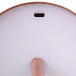 Настольная лампа «OXFORD» 10*38 см, USB 1200ma 5w, Бронза