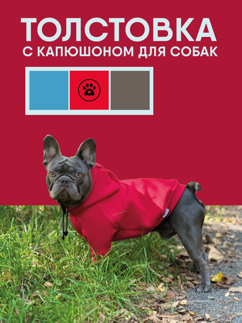 Толстовка для собак пород французского бульдога, мопса, голубой,M