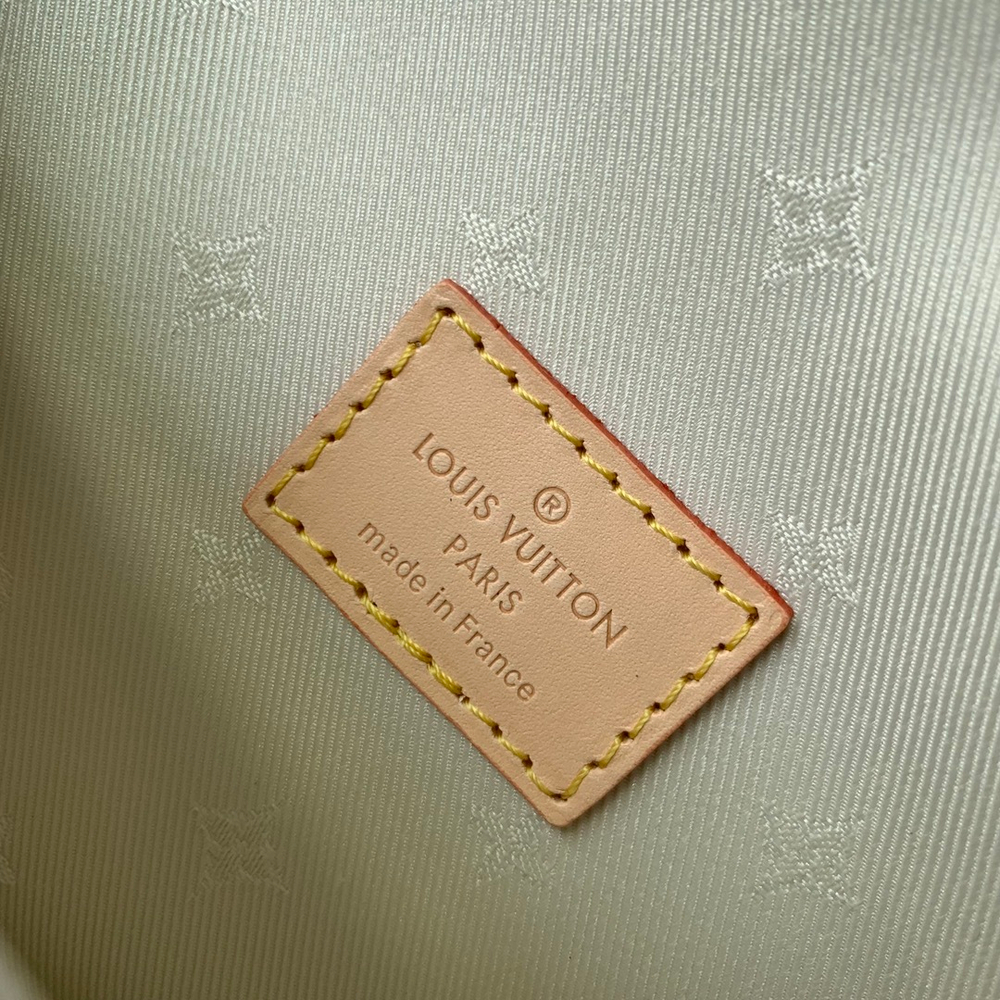 Louis Vuitton Ivy Wallet On Chain Bag