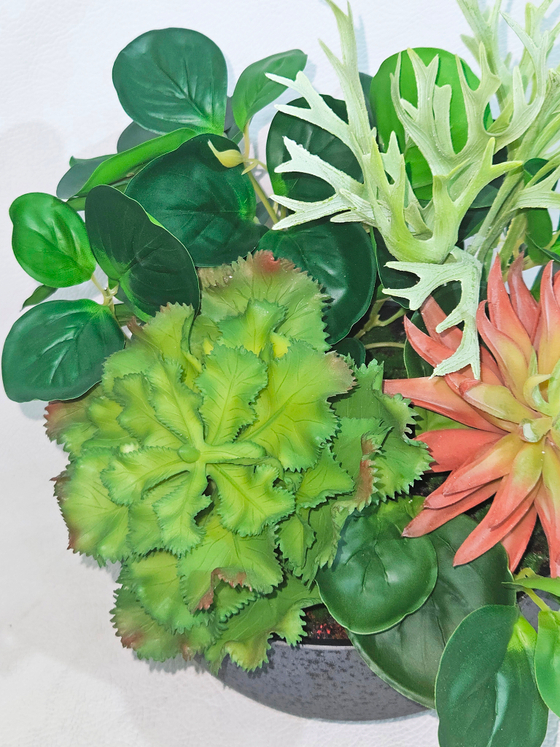 Искусственная Зелень с суккулентами 35см в чаше Лофт