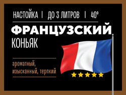 Коньяк французский, настойка 1 шт / Лаборатория самогона (Подарок, Выгодная упаковка)