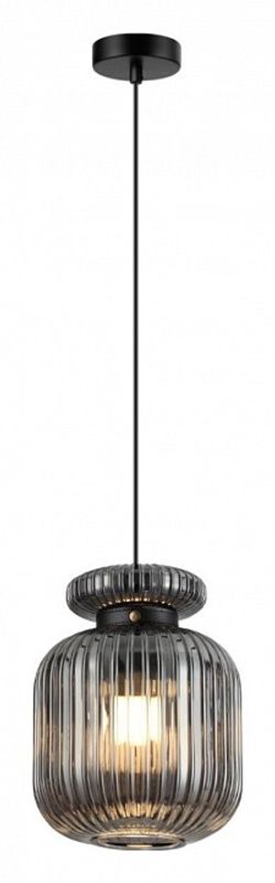 Подвесной светильник Odeon Light Jugi 5042/1B