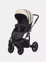 Коляска NANO THERMO (2 в 1) (Riko)