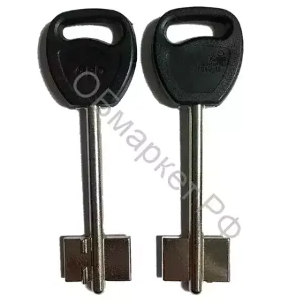 Заготовка дверняк ГАРДИАН 1 в пластике