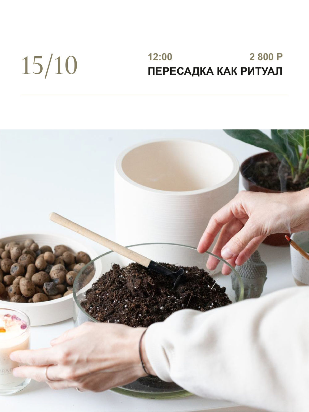 ПЕРЕСАДКА КАК РИТУАЛ