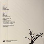 Танцы Минус- Флора-Фауна (2022г.)