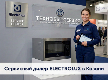 Ремонт микроволновой печи Electrolux в Казани