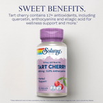 Solaray, Vital Extracts, вишня, 90 растительных капсул (425 мг в 1 капсуле)