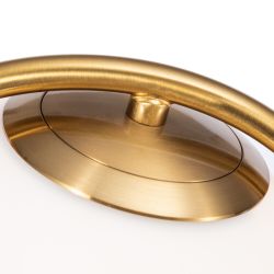 Декоративная настольная лампа Arte Lamp