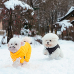 671 Комбинезон "Комфорт до -20-25°C" с молнией на спине, унисекс / COMFORT - FOR BOYS, для мальчика PREMIUM (SSOOOK)