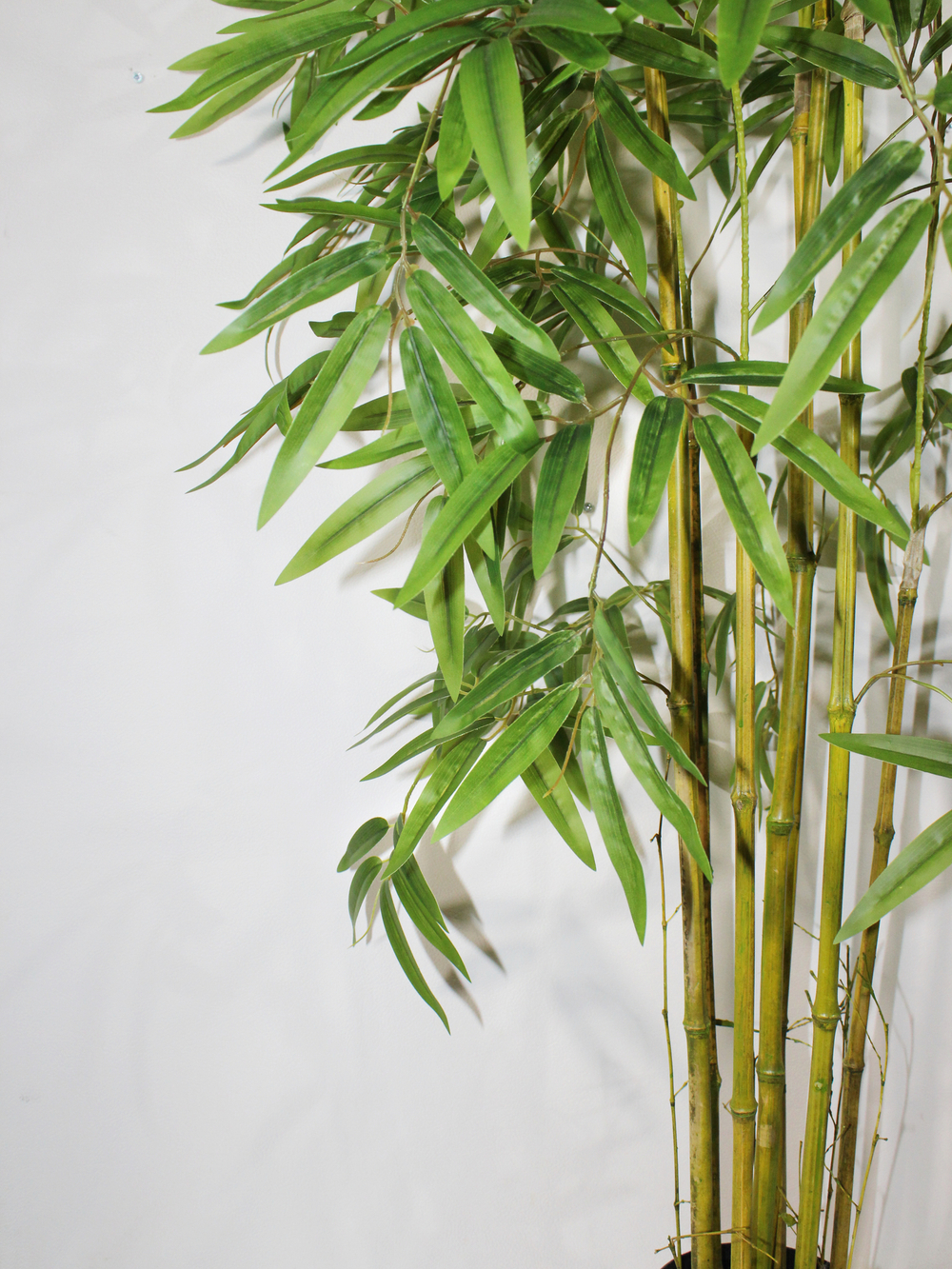 Искусственный бамбук Карибский 190см в кашпо