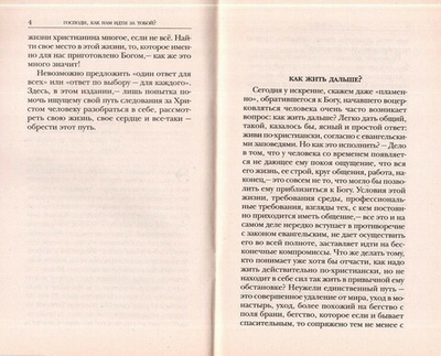 Господи, как нам идти за тобой? Опыт воцерковления в современном мире