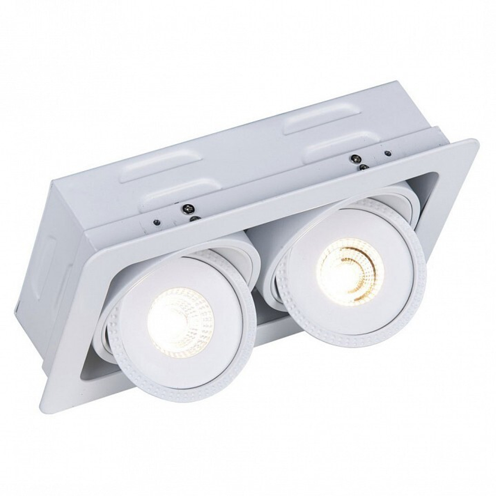 Встраиваемый светильник Arte Lamp A3007PL-2WH