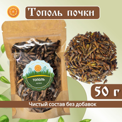 Тополь черный почки.