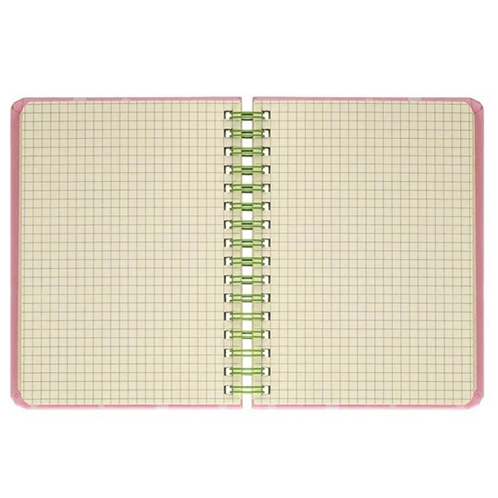 Блокнот детский Basir, формат А5, серия "Авокадо", переплет 7БЦ, 21*14 см, 80 листов, ассорти