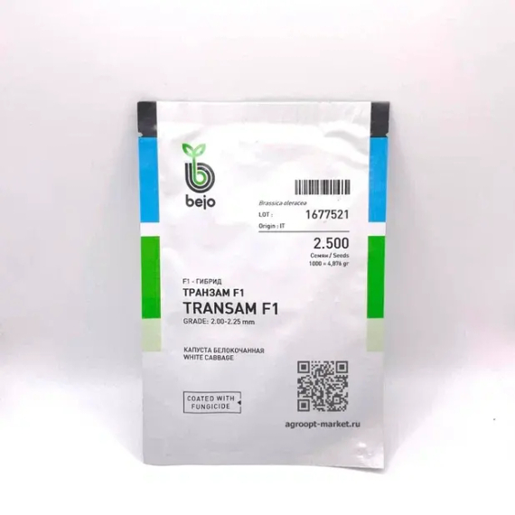 Транзам F1 семена капусты белокочанной (Bejo / Бейо) – фото 4