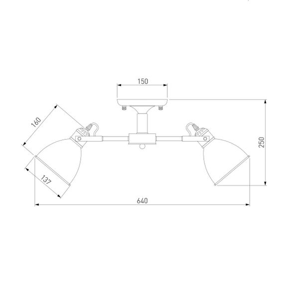 Потолочная люстра Eurosvet Denley 70112/5 черный