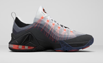 Nike LeBron 12 Max 95 LeBron 12 Low QS