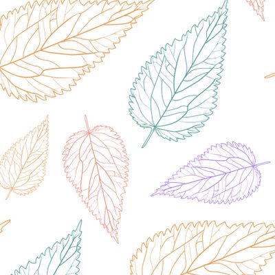 Цветные скелетизированные листья крапивы