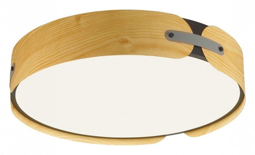 Накладной светильник Sonex Coraggio 7721/100L