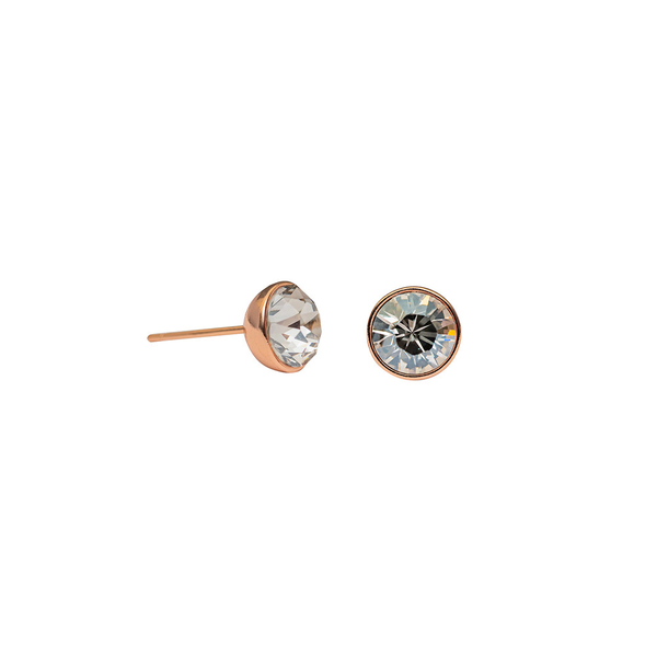 Серьги-пусеты Fiore Luna Crystal Silver Shade SWE298 CSS RG