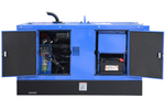 Двухпостовой дизельный сварочный генератор TSS DUAL DGW 28/600EDS-A