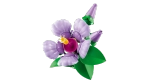 Конструктор LEGO Botanical Collection 10372 Гибискус