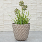 Горшок цветочный Wave 2,5л D175мм, французский платан