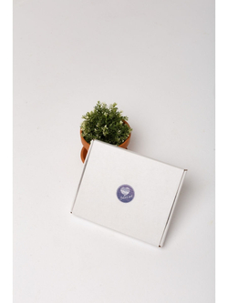 Аксессуары к платью Эльза Холодное Сердце костюм Elza Frozen