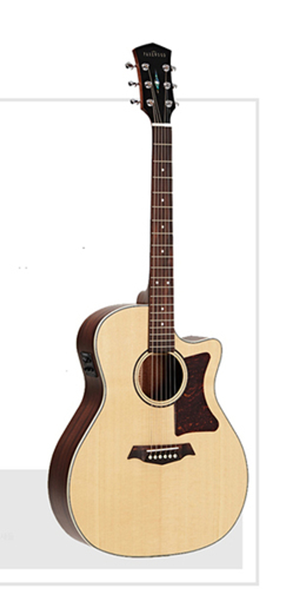 Электроакустика Parkwood GA28-GT