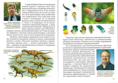 Все ли создал Бог? Новые открытия ученых