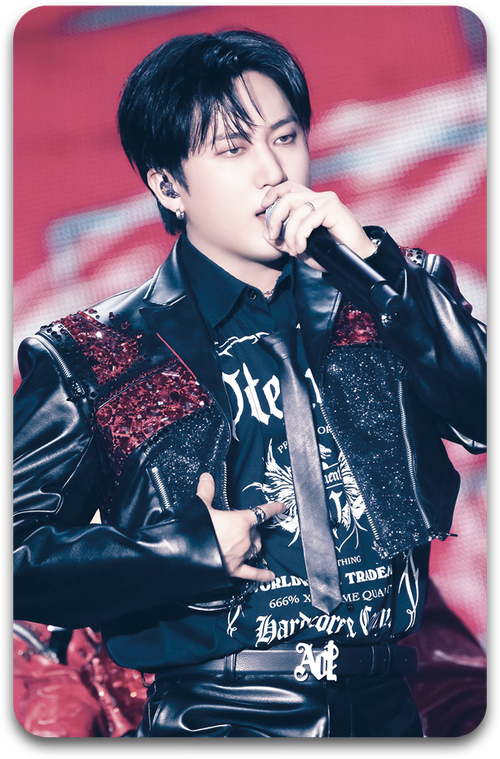 Карта / STRAY KIDS #1751