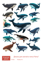 Трансфер переводной - декаль для свечей и гипса киты 005 А5