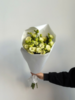 Охапка лизиантуса в зеленом оттенке 10 шт