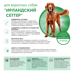 Корм сухой для взрослых собак породы Ирландский сеттер, с ягненком, 12 кг, QUATTRO