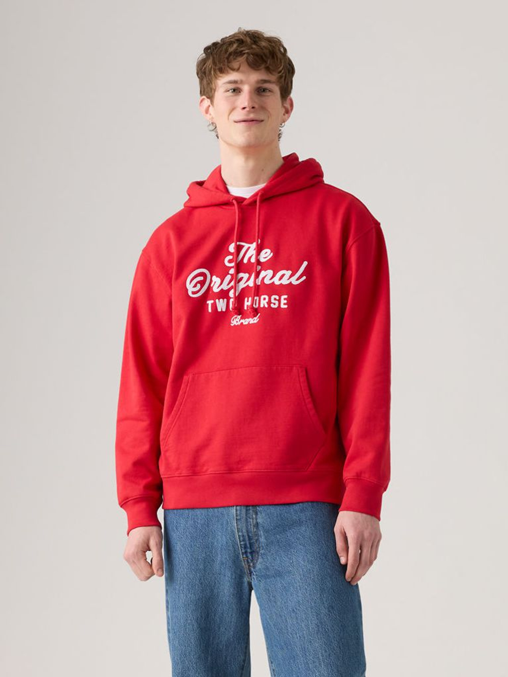 Толстовка мужская LEVI'S RELAXED GRAPHIC PO
