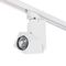 Комплект с трековым светильником Lightstar Illumo Q (592016+051056) A1T051056
