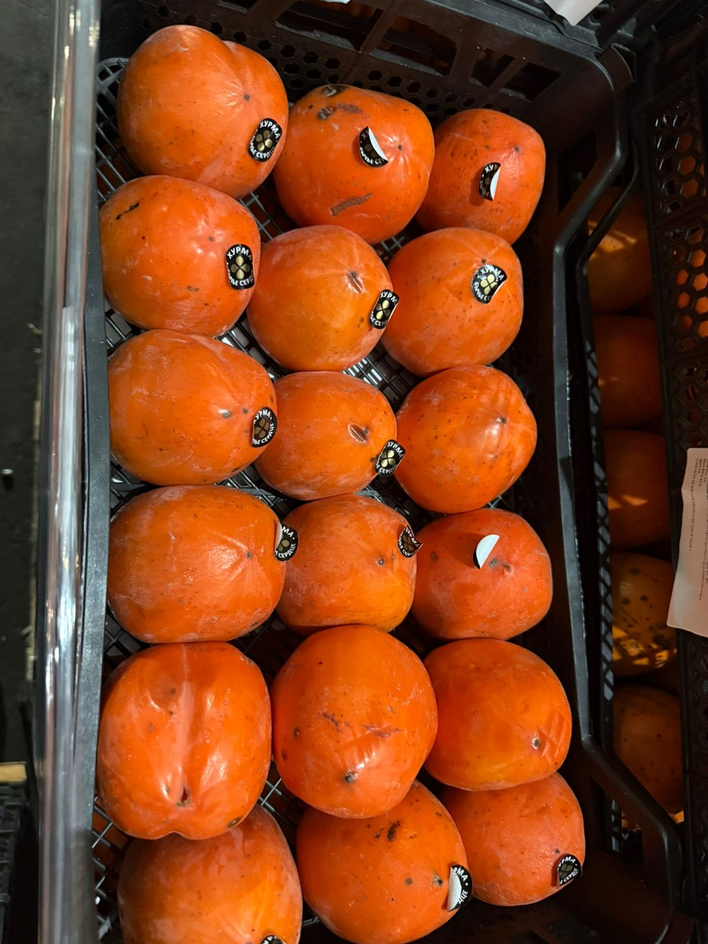 Хурма Азербайджан