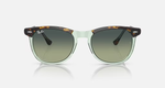 RAY-BAN EAGLE EYE RB2398 1376BH