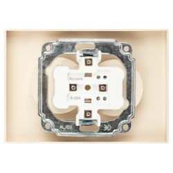 Розетка Intro Accent 6-204-02 двойная 2х2P 16А-250В IP20 СУ AL/CU слоновая кость