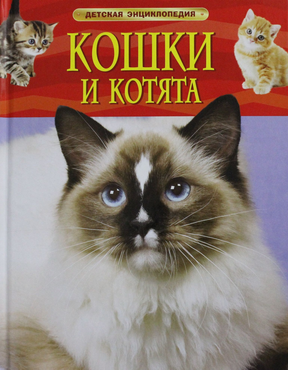 Кошки и котята.
